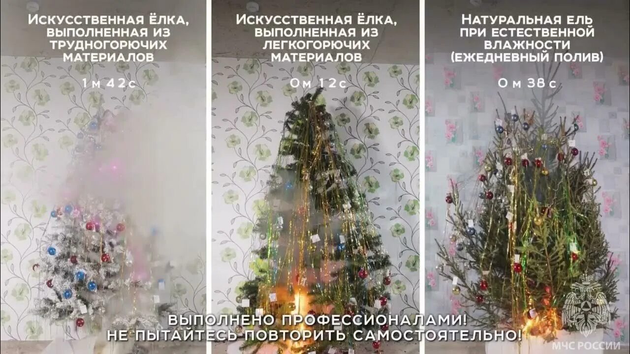 Ель хорошо горит