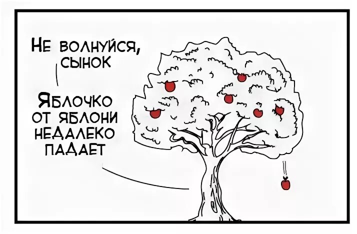 Мимо яблоньки. Яблоко от яблони недалеко падает. Пословица яблоко от яблони недалеко падает. Яблоня от яблони недалеко падает. Яблочко от яблони недалеко.