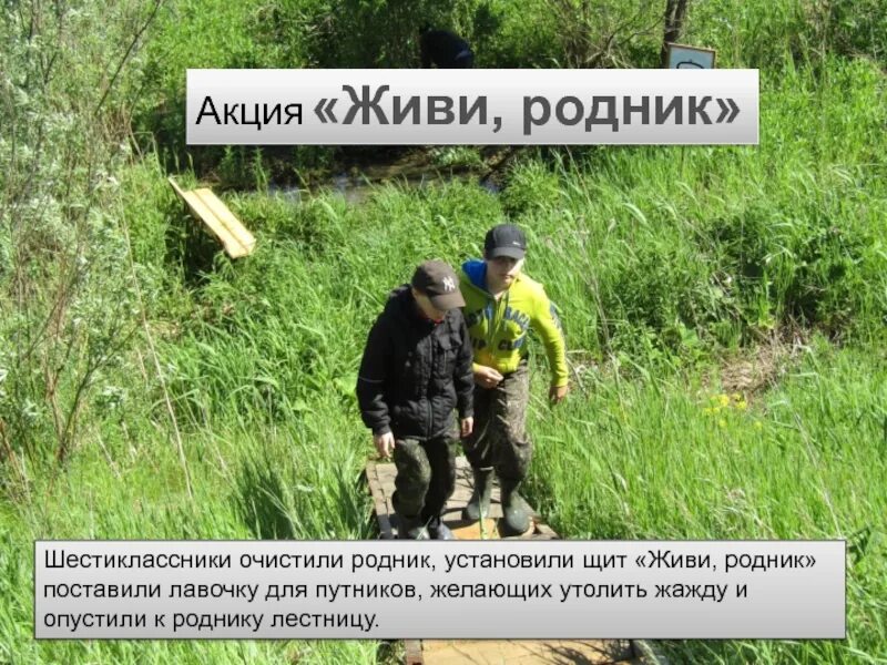 Удалили родника. Живи Родник. Живи Родник живи. Живи Родник живи рисунок. Акция живи.