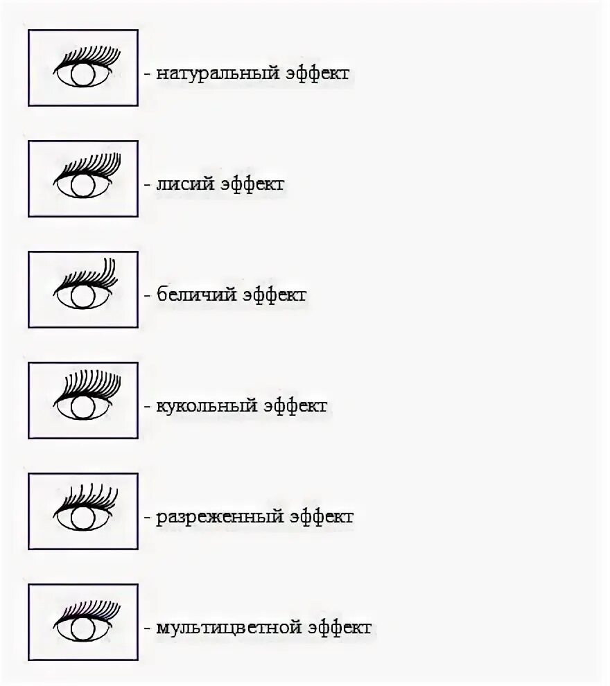 Схема наращивания лисий. Беличий эффект наращивание схема. Кукольный эффект ресниц 2д схема. Кукольного Лисий эффект схема наращивания ресниц. Наращивание ресниц Лисий эффект 2д схема.