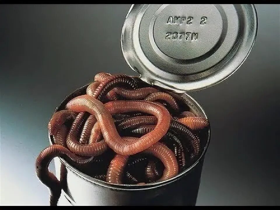 Can of warms. Can of warms