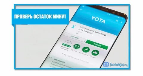 Как узнать остатки йота