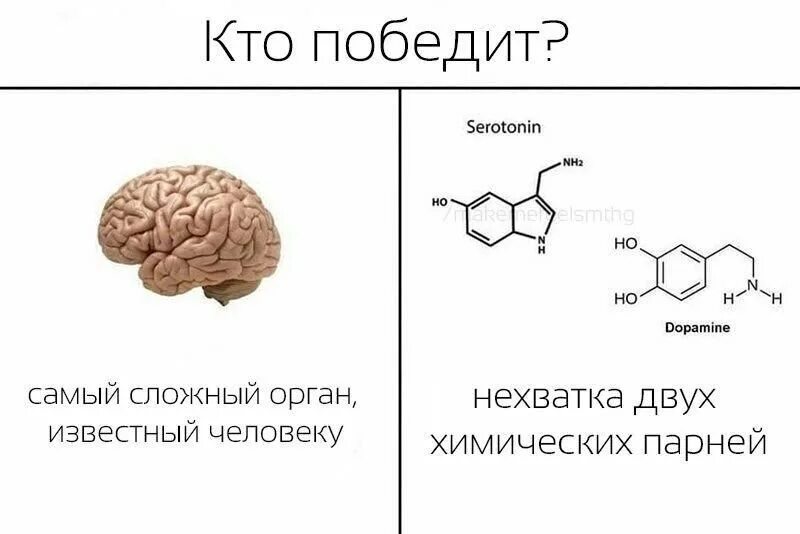 Серотонин это гормон молекула. Гормоны дофамин серотонин. Дофамин серотонин Эндорфин. Дофамин серотонин окситоцин. Серотонин vseledi ru