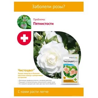 Фунгициды для роз