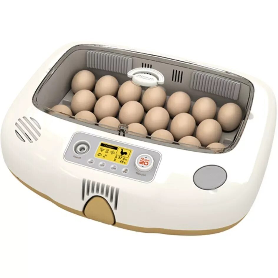 Incubator