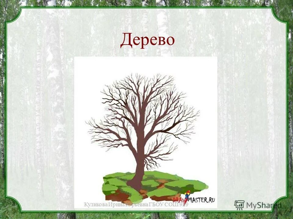 Когда человек бывает деревом загадка 5 букв. Стихи и загадки про деревья. Когда человек бывает деревом загадка 5 букв. Загадки с ответами с мягким знаком. Когда человек бывает деревом загадка 5 букв.