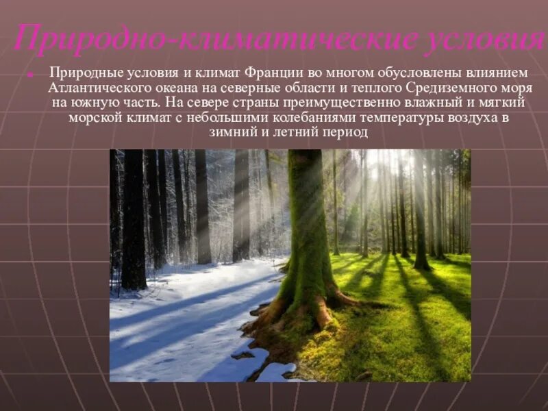 Роль природно климатического. Климатические условия. Природные условия климат. Природно-климатические. Климатические условия презентация.