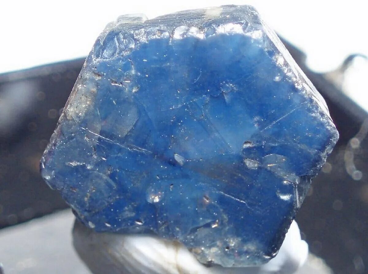 Сапфир (минерал) Корунд. Синий Корунд минерал. Камень Корунд синий сапфир. Сапфир минерал необработанный. Алюминий сапфир