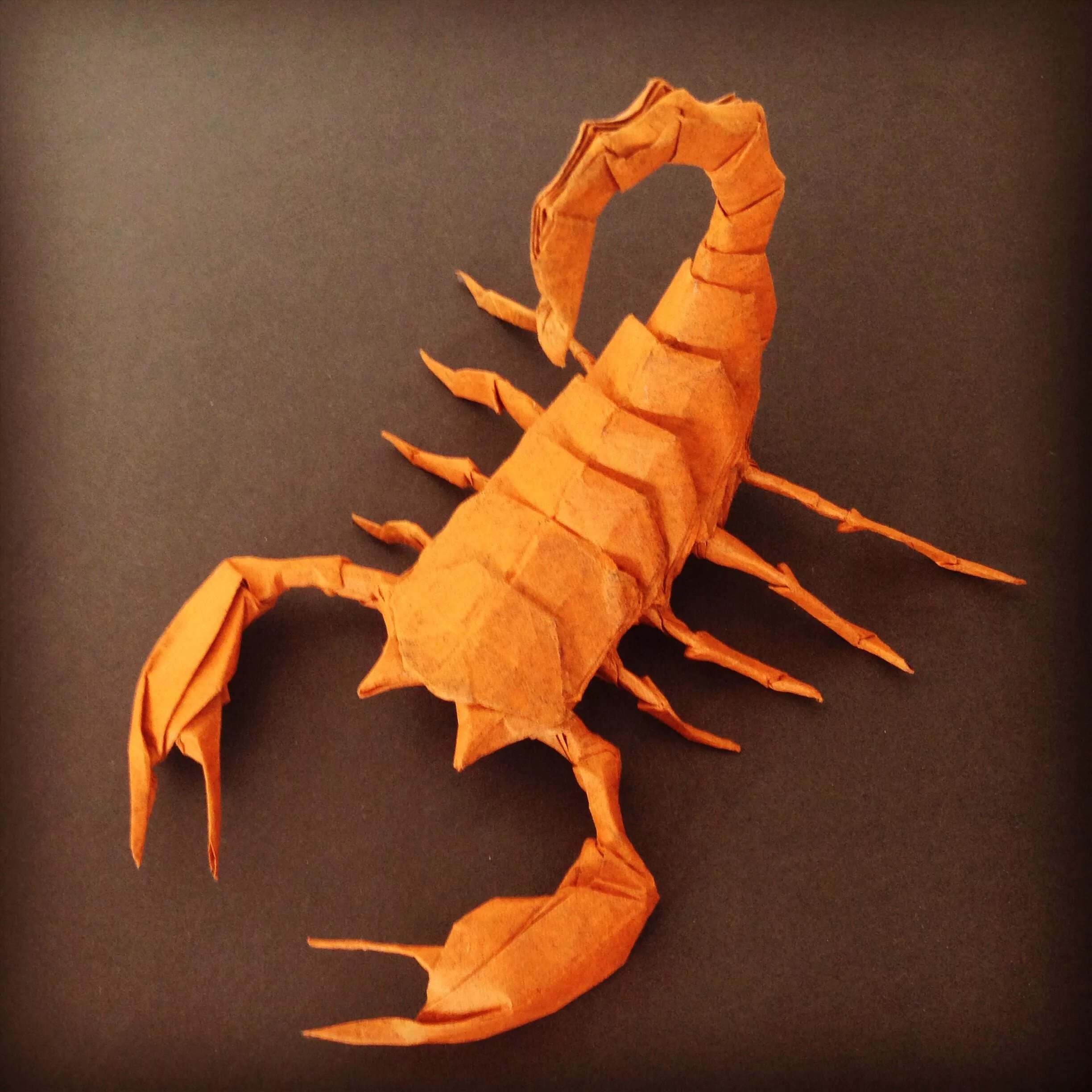 скорпион. скорпион моделька. скорпион обои. Heterometrus cyaneus. гетерометрус cyaneus.