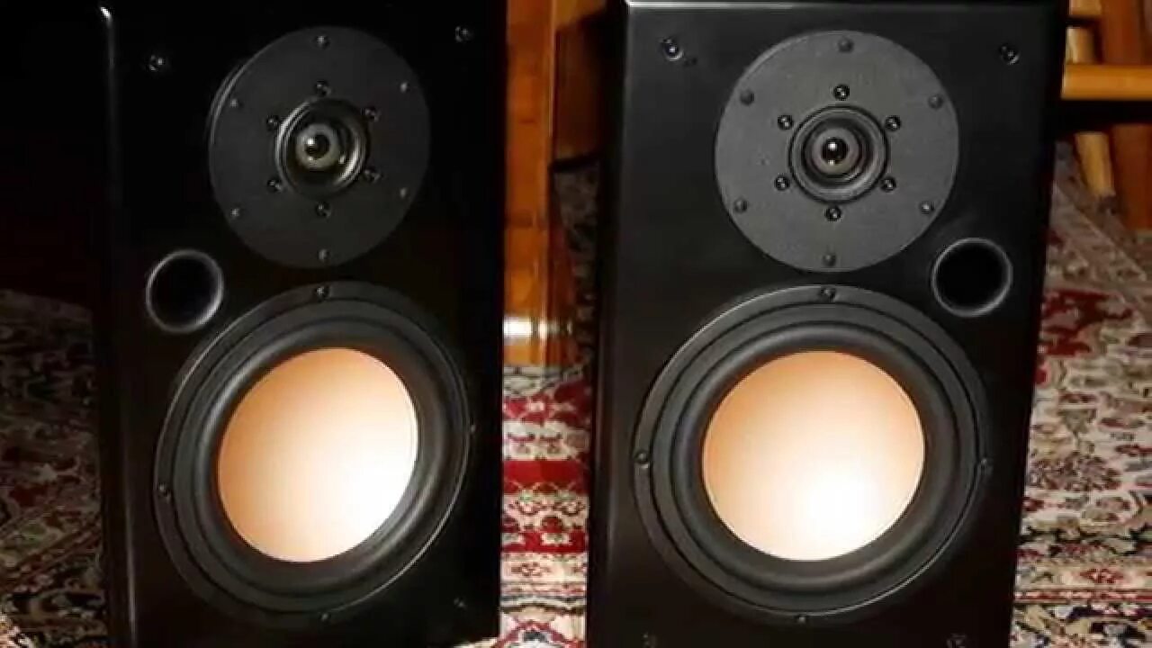 Hivi swan os 10. Колонка hq hivi. audiovector m6x. hivi e6.5. hivi dmn-a.
