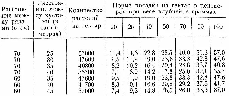 Посадка картофеля сколько на сотку. Норма высадки картофеля на 1 га. Норма высадки картофеля на 1 сотку. Норма посева картофеля на 1 га. Норма посадки картофеля на 1 га.