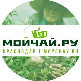 Мой чай краснодар