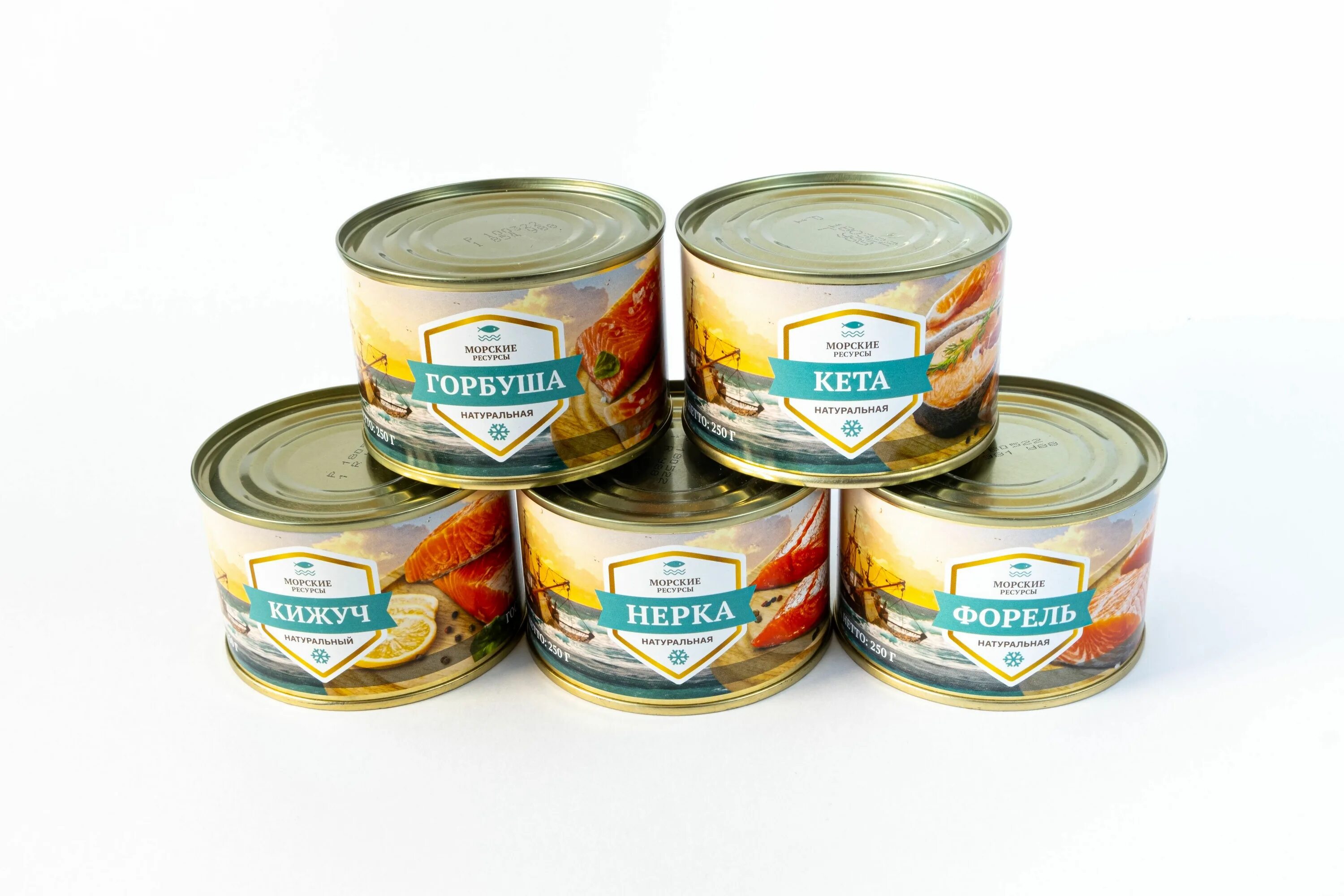 Морская капуста консерва. Консервы мясо гребешка. Горбуша консервированная. Морские консервы. Горбуша конс фас морская радуга 245г натуральная ж/б.