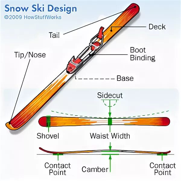 Горные лыжи размер Waist. Ski перевод. Ski skier транскрипция. Лыжный спорт диаграмма. Ski с английского на русский