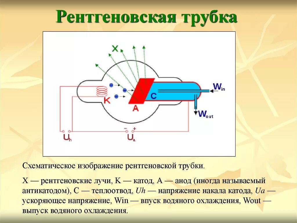 Что генерирует рентгеновское. Катодная трубка рентгена. Анодное напряжение рентгеновской трубки. Катод и анод в рентгеновской трубке. Схема строения рентгеновской трубки.