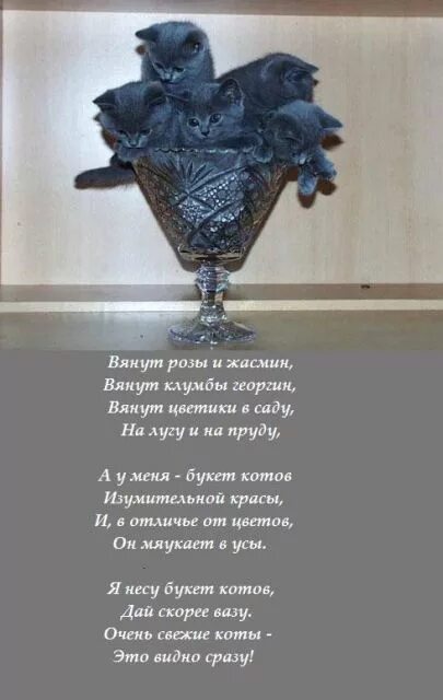 Стихотворение про натюрморт. Стихи про вазу с цветами. Стихотворение девочке три. Сочинение на тему ваза. Стихотворение ваза.