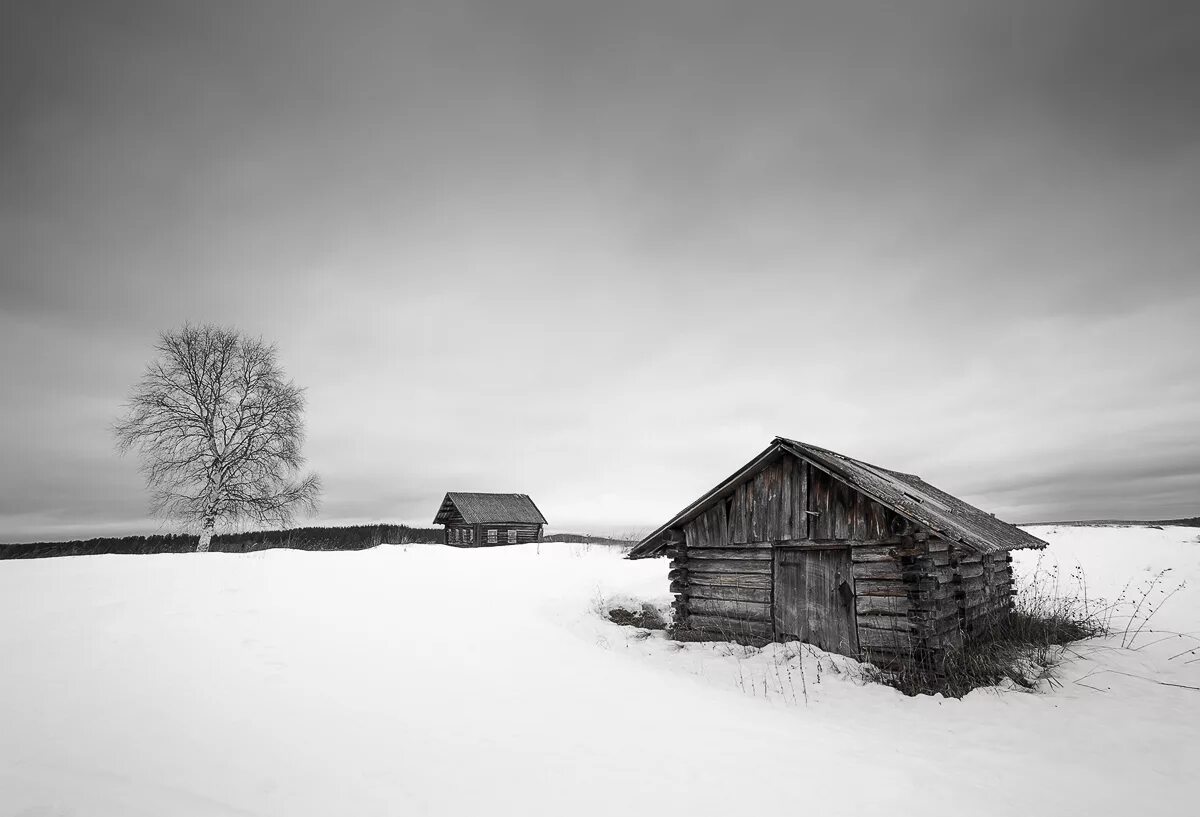 North village. Деревня Зехново Кенозерье Архангельская область. Кенозерский национальный парк. Деревня. Северная деревня.