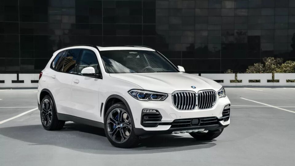 X5 g05 отзывы. BMW x5 g05. BMW x5 xdrive30d. BMW x5 g05 2019. BMW x5 2019 белый.