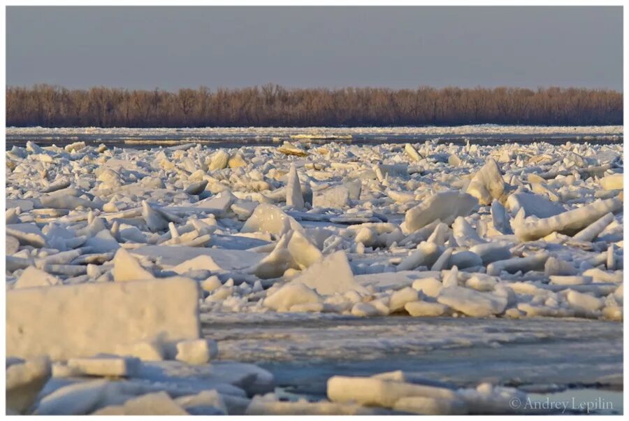 Весной во время ледохода многие любят