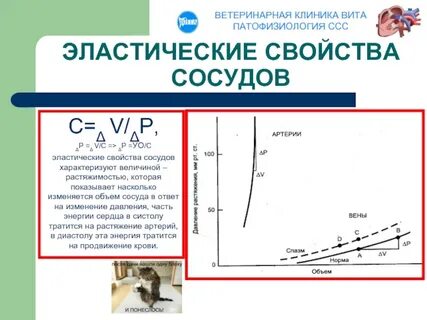 Свойство сосудов