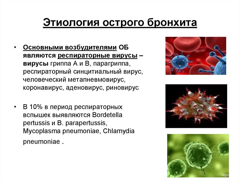 Основная причина бронхита. Основные бактериальные возбудители бронхита. Этиологические факторы острого бронхита. Этиология заболевания острого бронхита. Возбудители острого бронхита у детей.