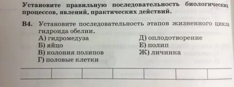 Последовательность биологических