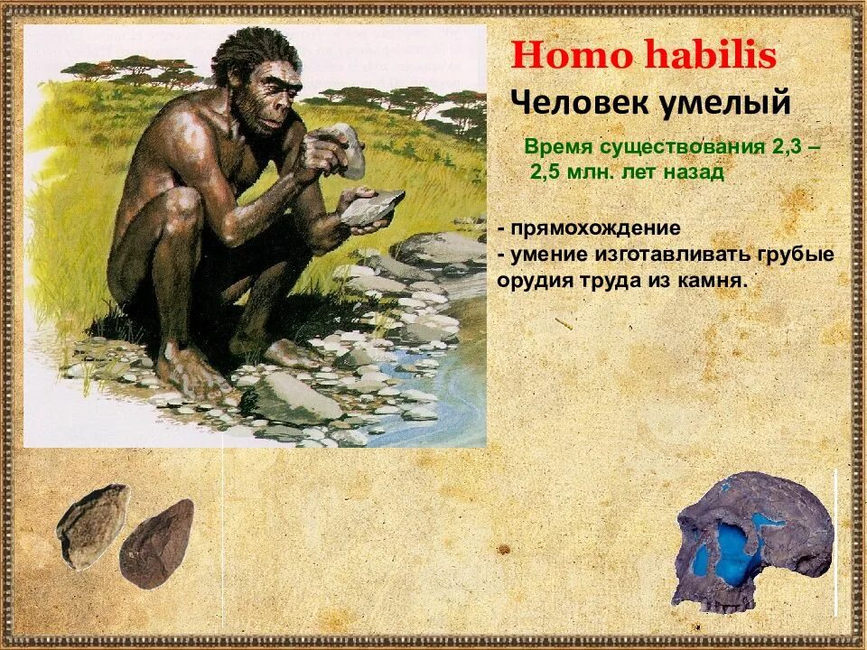 Человек умелый где жили. Человек умелый. Человек умелый homo habilis. Древнейшие люди. Человек умелый время существования.