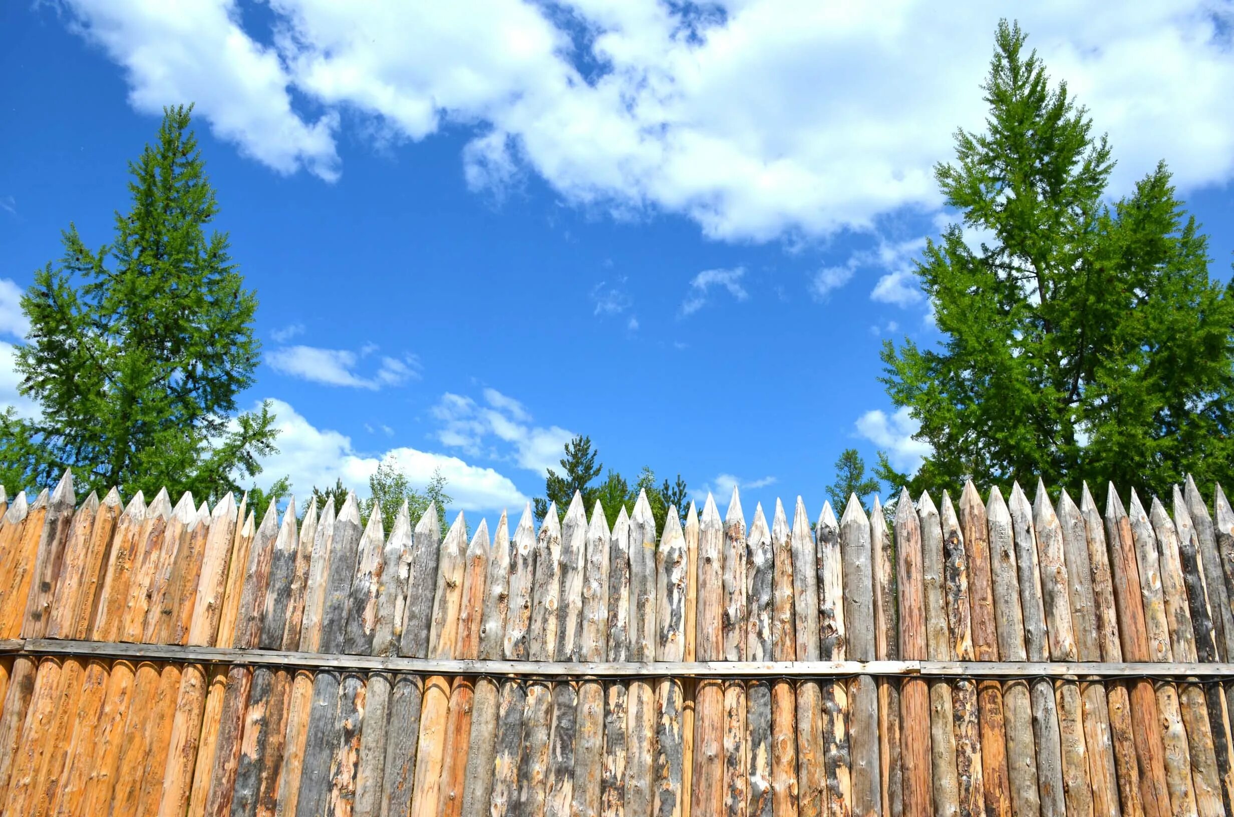 Жёлтая курица под тыном дуется отгадка. Под тыном дуется. Под тыном дуется. Староместская площадь тынский храм. Под тыном дуется.