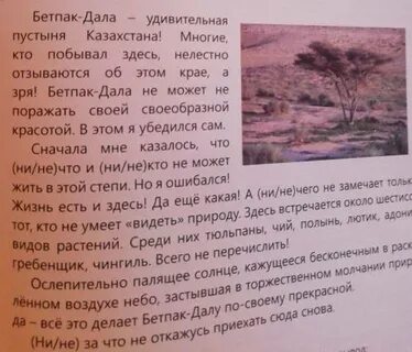 Найдите в тексте вывод который сделал том
