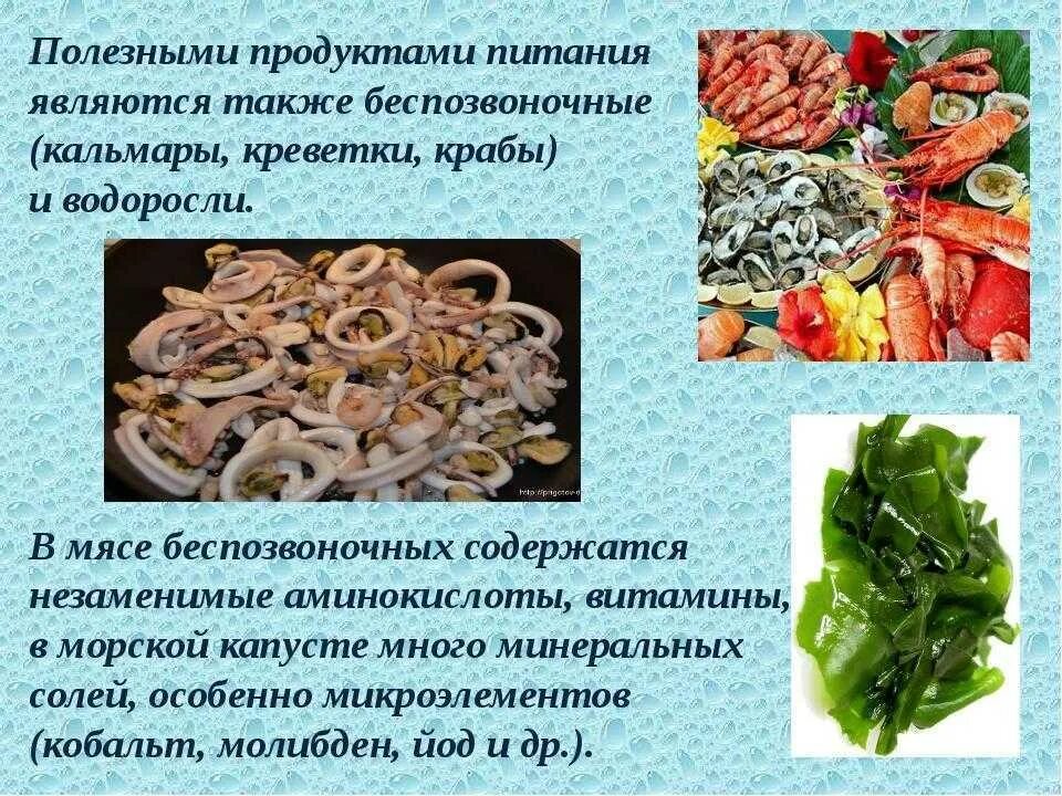 Морепродукты в питании человека сообщение. Морепродукты полезны для здоровья. Чем полезен кальмар. Полезные характеристики морепродуктов. Польза морепродуктов для организма.