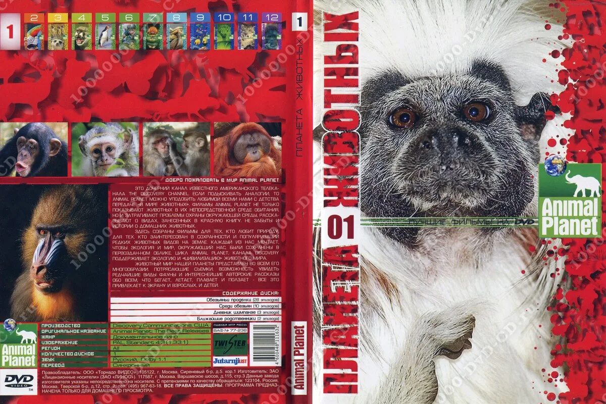Диски про животных. Dvd планета животных. Твои веселые друзья зверята диск. Animal planet диск. Dvd диски про животных.