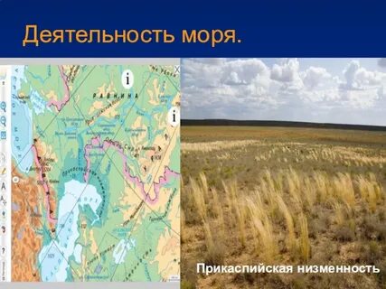 Прикаспийская низменность платформа