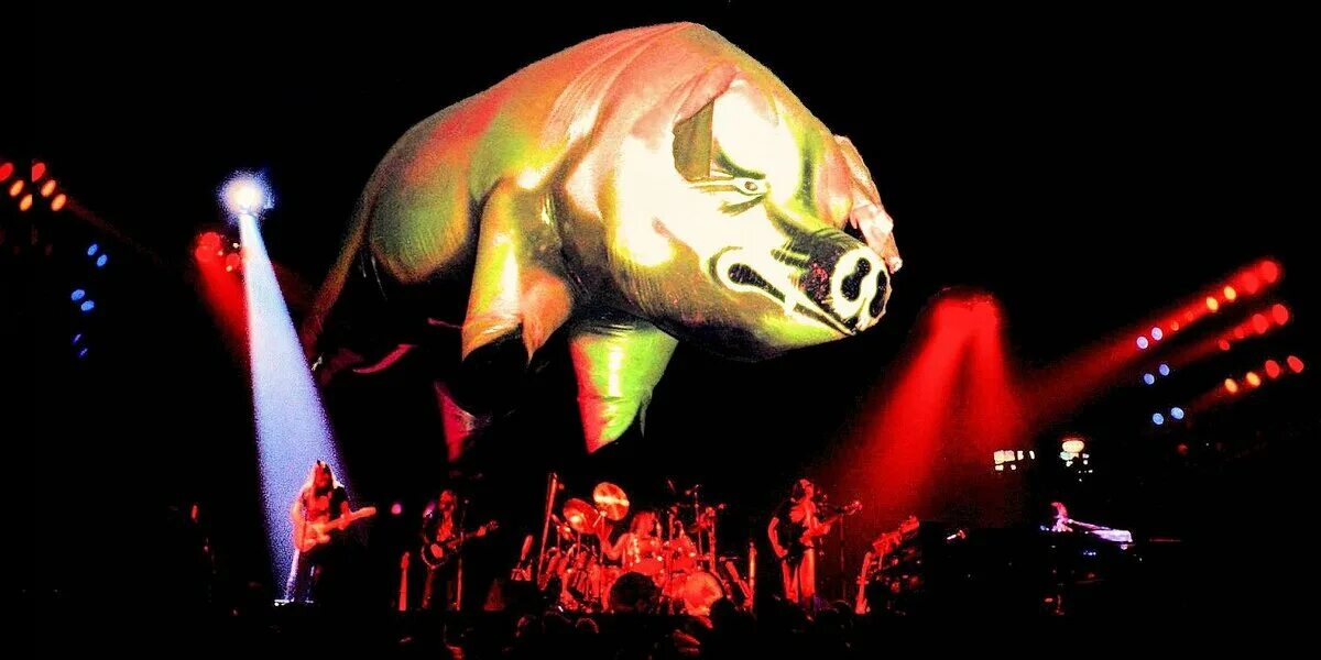 Пинк Флойд 1977. Pink Floyd 1977 Live. Пинк Флойд Энималс. Концерт Пинк Флойд animals. Animals концерт