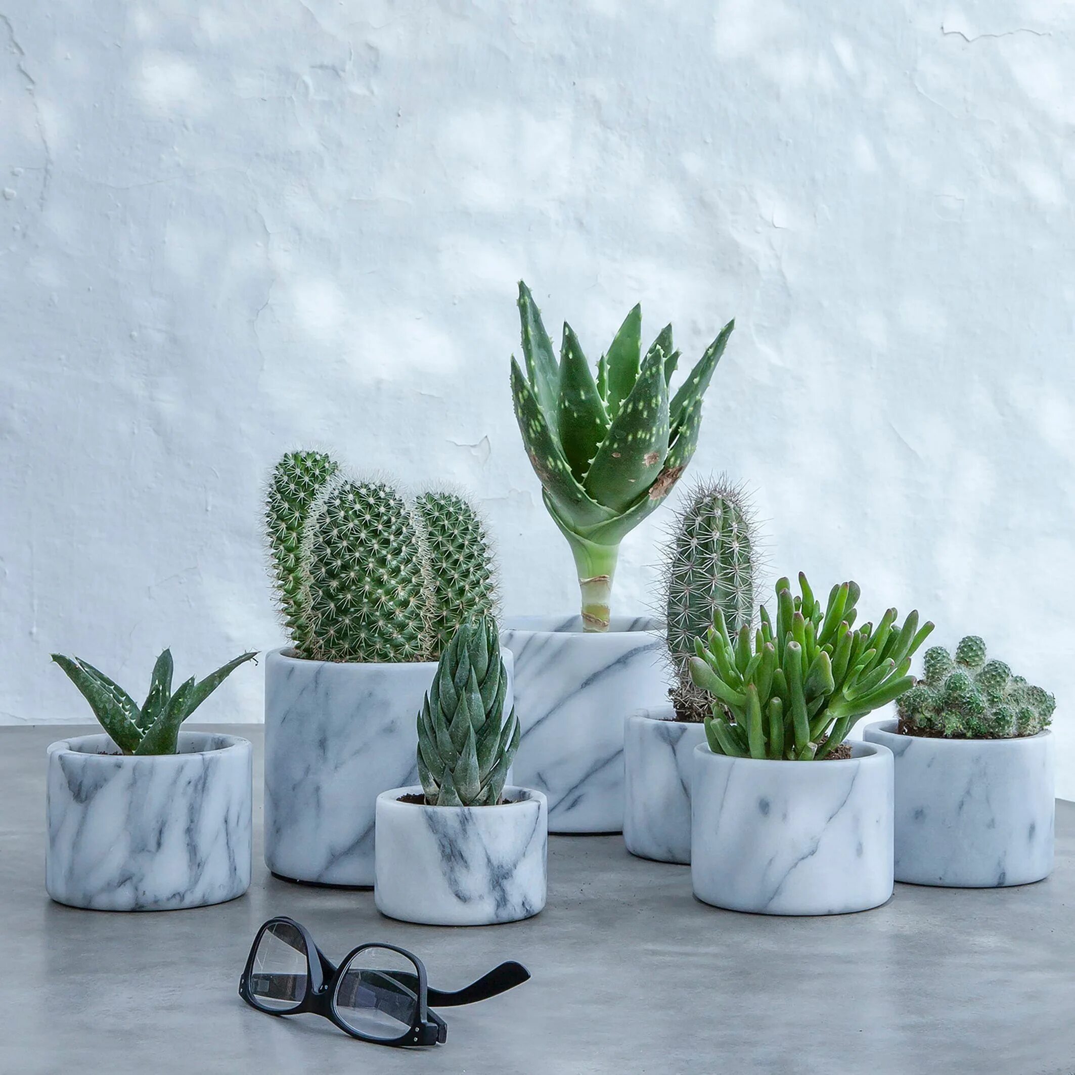 Кактусы в комнате. Cactus pot горшки кактусы суккуленты. суккуленты в интерьере квартиры. искусственные кактусы в горшке. искусственные суккуленты в интерьере.