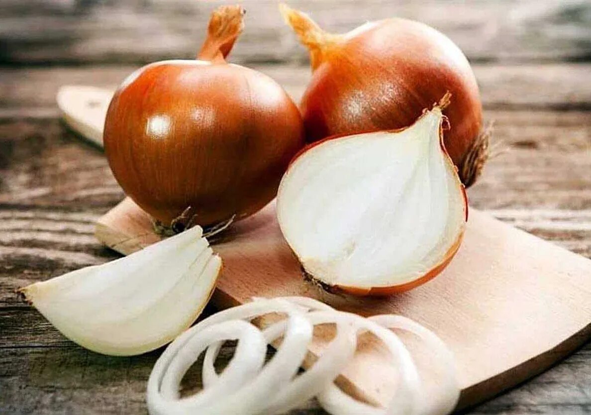 Лук от семи недуг. Загадка про лук. Доклад о луке. Видоизмененный стебель луковицы. Лук репчатый эллан.