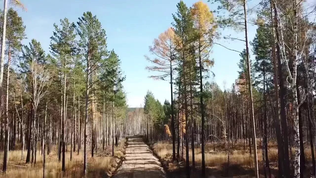 Зеленый тракт. Зеленый мыс байкальский тракт. санаторий зеленый мыс иркутск. зеленый мыс иркутск байкальский тракт. санаторий зелёный мыс 28км байкальского тракта.