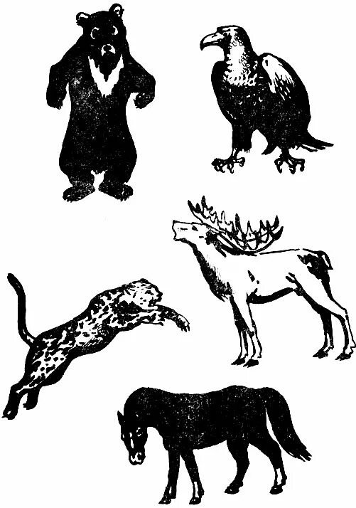 знаки зодиака джоди бергсма. джоди бергсма тотемы. джоди бергсма зодиак. джоди бергсма рисунки индейцев. тигр обои.