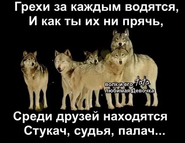 Грехи за каждым водятся и как. Предатели среди друзей. Вокруг одни шакалы. Среди шакалов.