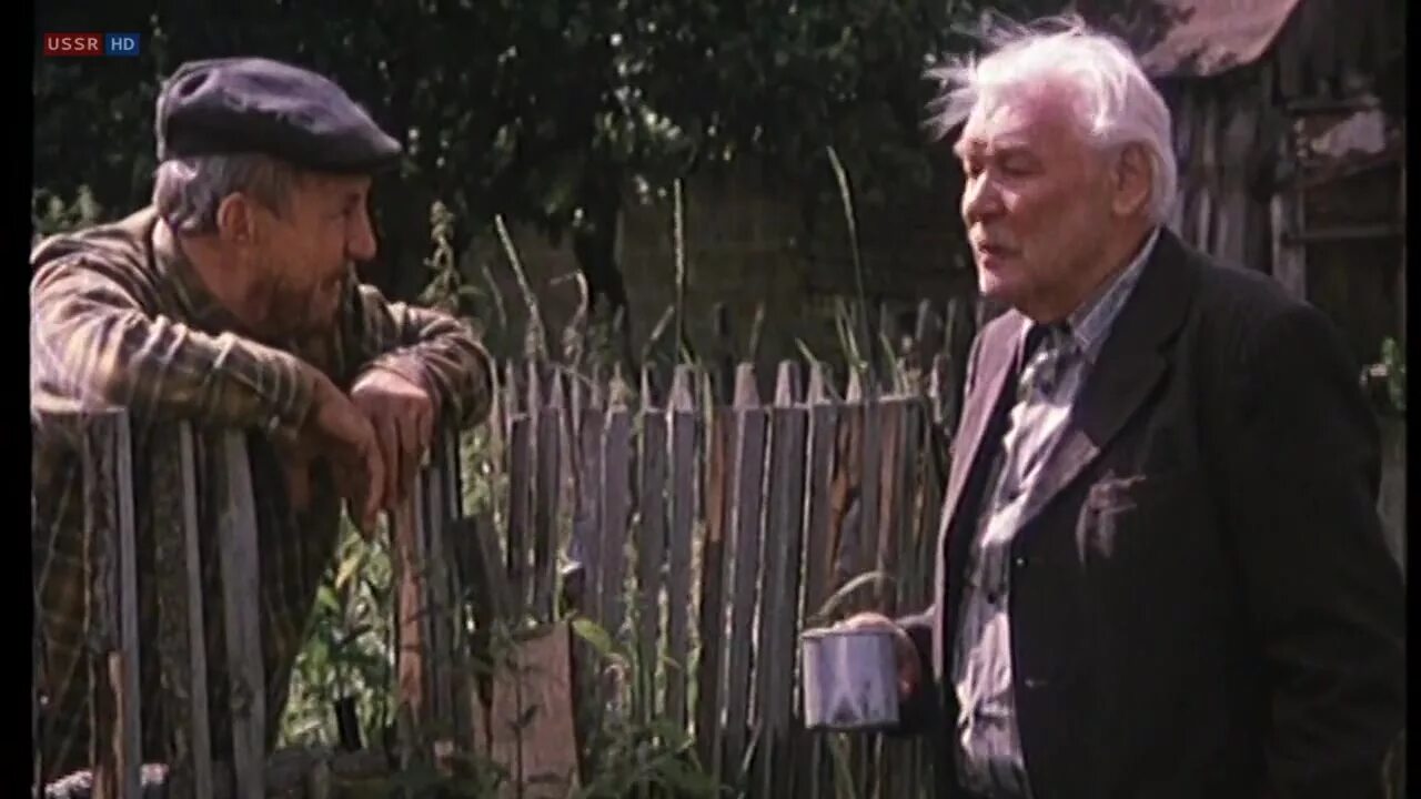 Белые росы пиво. Белые росы тимофей кадр. Белые росы фильм 1983 кино. Белые росы (игорь добролюбов) [1983, ссср. Белые росы афиша.