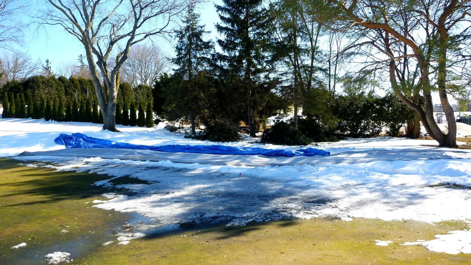 Weather the weather is fine скороговорка. карточки weather для детей. Thaw перевод. To thaw. Thaw перевод.