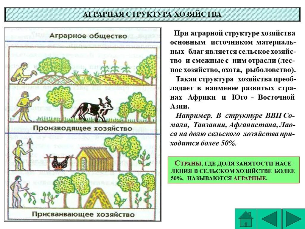 Аграрная структура какие страны. Аграрная структура мирового хозяйства. Аграрная структура хозяйства. Структура экономикиfuhfhyjuj. Аграрный этап развития хозяйства.