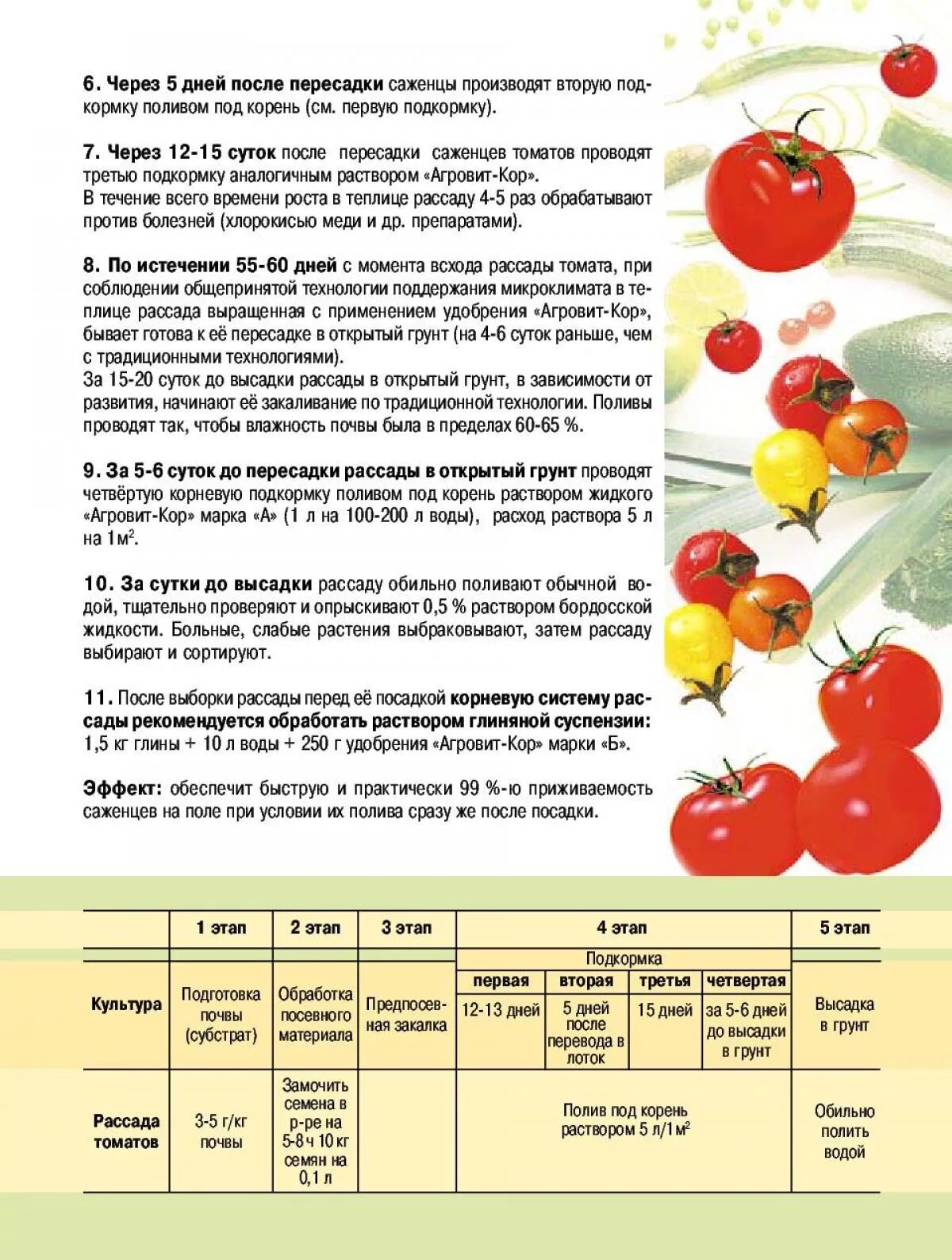 Схема подкормок и обработок томатов. Схема удобрения томатов. Схема подкормки помидор. Таблица удобрения для помидоров в открытом грунте.