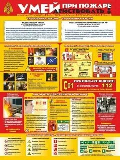 Требование закона требование жизни
