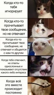 Если парень не читает сообщения
