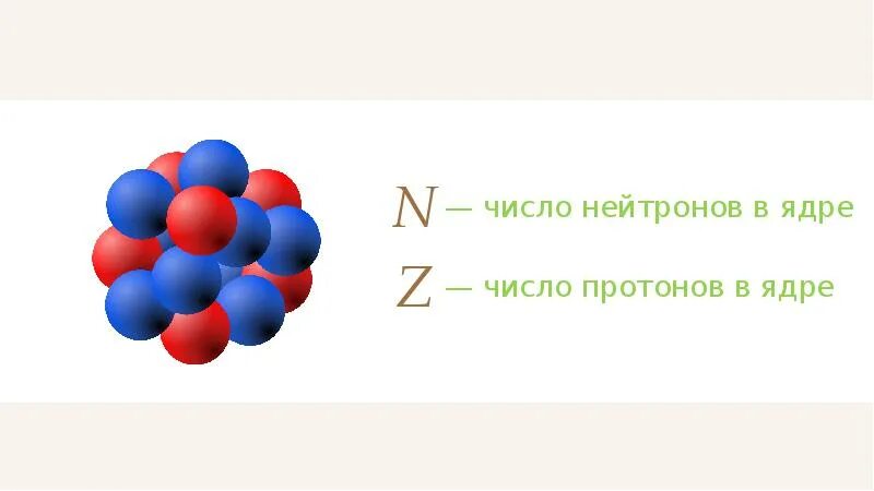 Сколько нуклонов содержится в ядре урана. Нуклоны. Ядерные силы.. Ядерные силы картинки. Протоны м=и нейтроны в ядре. Протоны и нейтроны в ядре физика.