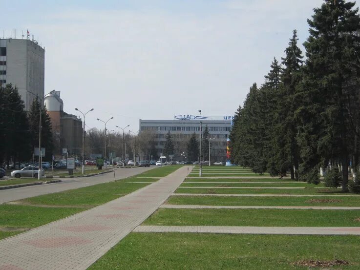 Жуковский территория. Жуковский территория. Площадь города жуковский. Жуковский город московской. Площадь города жуковский.