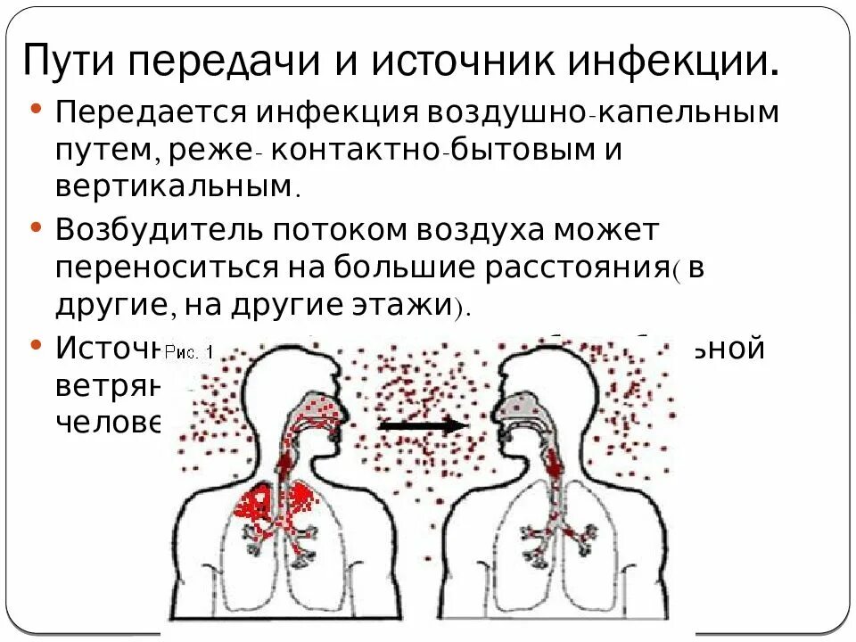 Возбудитель натуральной оспы пути передачи. Натуральная оспа пути передачи инфекции. Пути передачи ветряной оспы. Натуральная оспа источник инфекции.