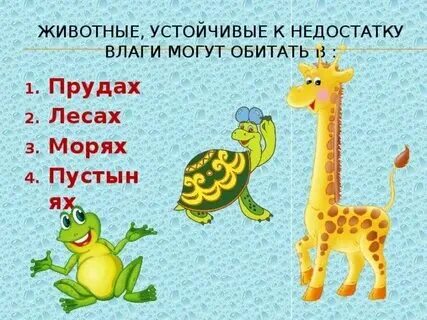 Кузнечик среда обитания наземно воздушная