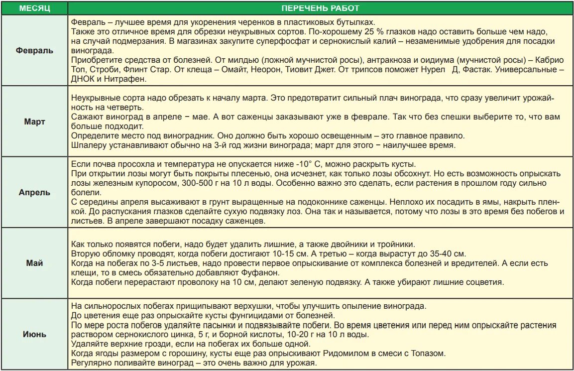 Можно ли в апреле. Удобрение винограда таблица. Таблица внесения удобрений винограда. Подкормка винограда таблица по месяцам. Схема подкормки винограда.