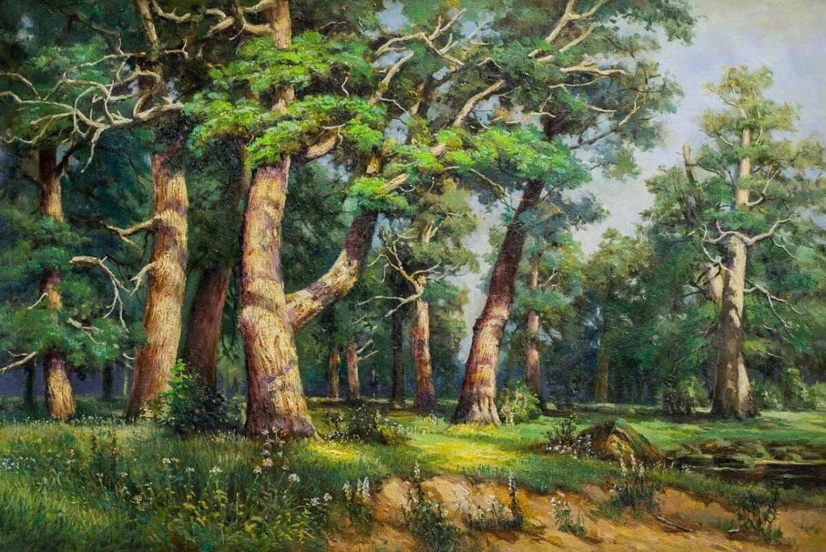 1887 г. Щомыслицкая дубрава. Дубовая роща 1. 1887. Шишкин дубовая роща картина оригинал.